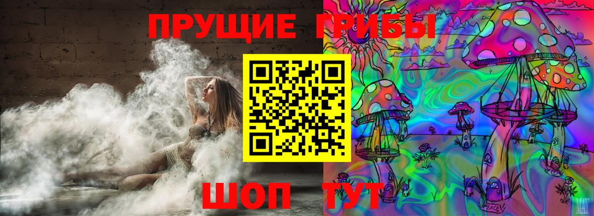 Псилоцибиновые грибы MAGIC MUSHROOMS  Вход с VPN  Гурьевск 